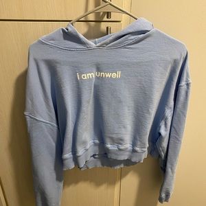 Call Her Daddy Cropped Hoodie